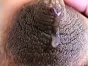 کاپری کاوالی فیلم سو ...
