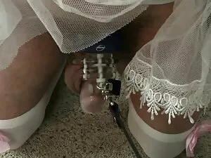 چوب گیلاس عكس هاي سك ...